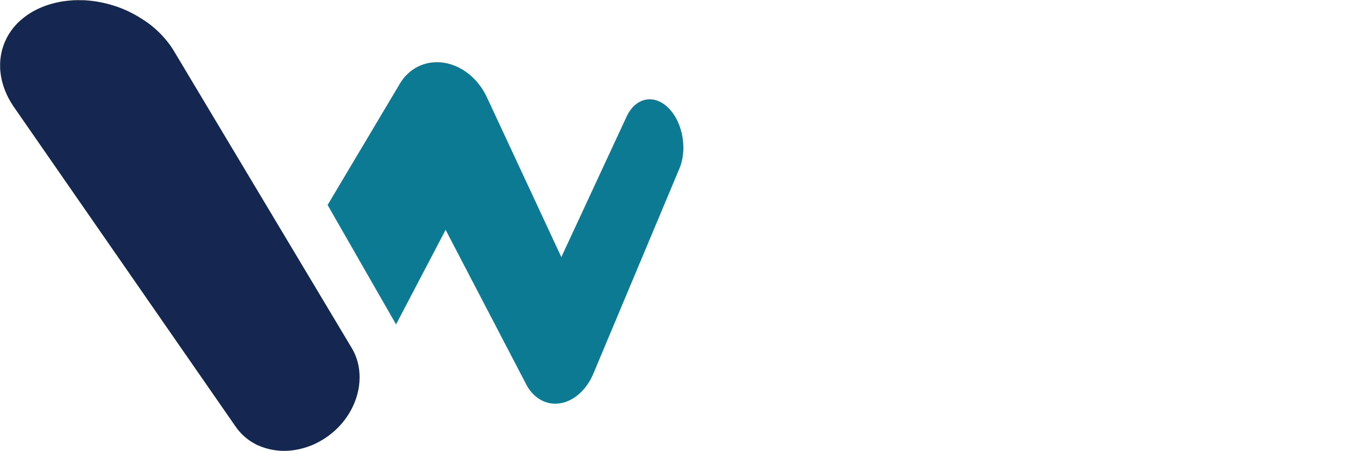 logo_iwn (1)